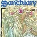 Angel Sanctuary vol 13
