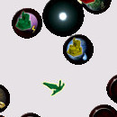 DR