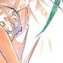 Enfer & Paradis vol 13
