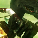 DR