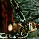 DR