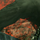 DR