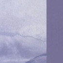 Quatrième de couverture