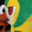 DR