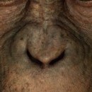DR