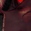 DR