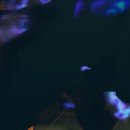 DR