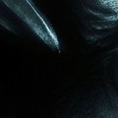 DR