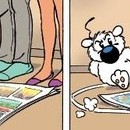 DR