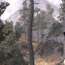 DR