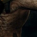 DR
