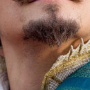 DR