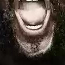 DR