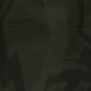 DR