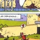 DR