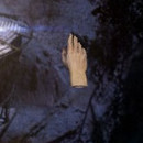 DR