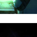 DR