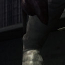 DR