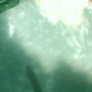 DR
