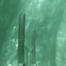 DR