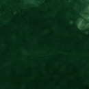 DR