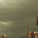 DR