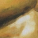 DR