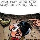 DR