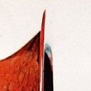 D.R.