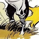 DR