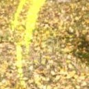 DR