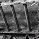 D.R.