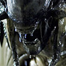 le 'Predalien'
