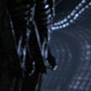 DR