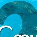 Affiche teaser