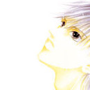 Forbidden Love vol 12