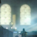Dark Sector