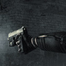 Dark Sector