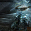 Dark Sector