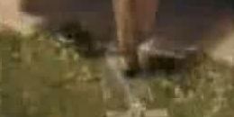 Bande Annonce