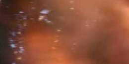 Extrait 1 - Stark Expo