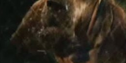 Bande Annonce
