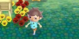 Animal Crossing