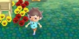 Animal Crossing 3DS