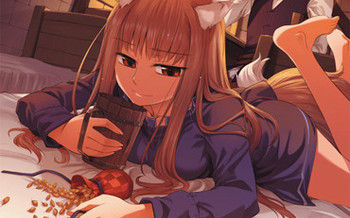 Spice and Wolf T.2