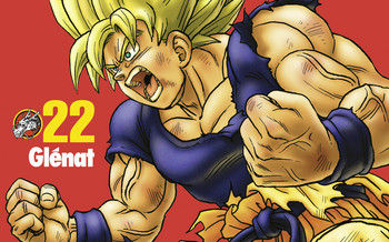 Dragon Ball Perfect Edition T.22
