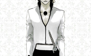 Bleach Unmasked