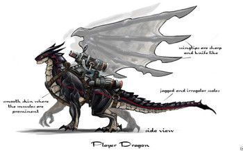 Divinity : Dragon Commander - Test PC