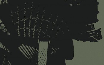 Cinq branches de coton noir