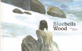 Bluebells Wood